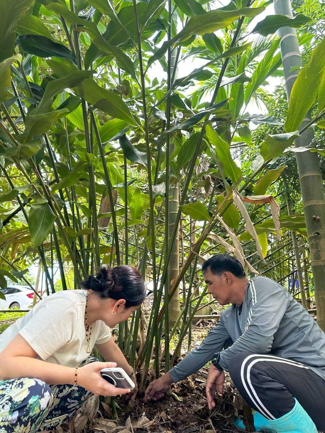 ภาพกิจกรรม